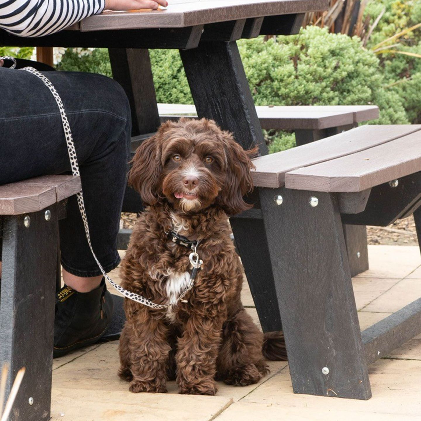 Your local dog friendly pub in Scunthorpe